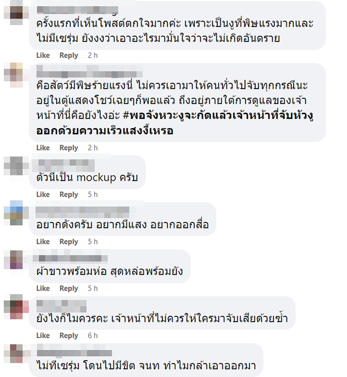 ดราม่างานประมงดัง เอางูสมิงทะเลให้คนร่วมงานจับเล่น พิษแรงกว่างูเห่า ไม่มีเซรุ่ม