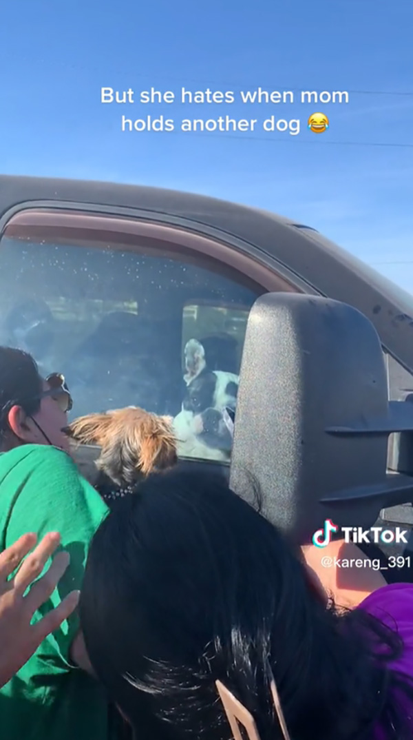 หมาล็อกรถเข้าไม่ได้ ทำยังไงก็ไม่เปิด 