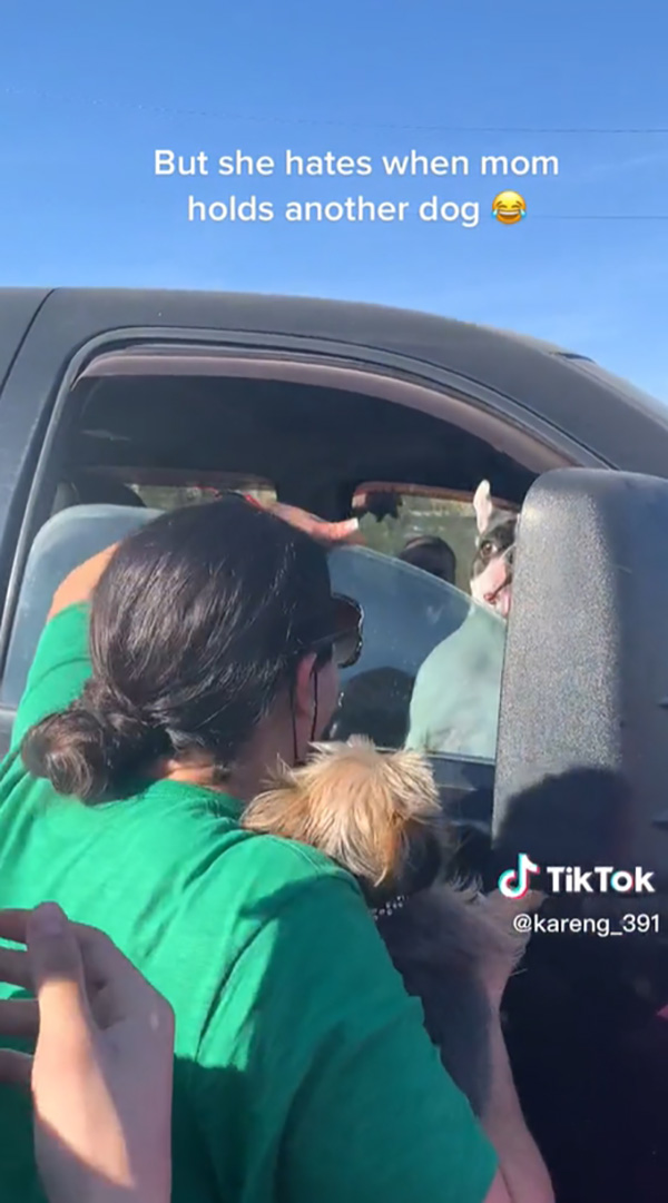 หมาล็อกรถเข้าไม่ได้ ทำยังไงก็ไม่เปิด 