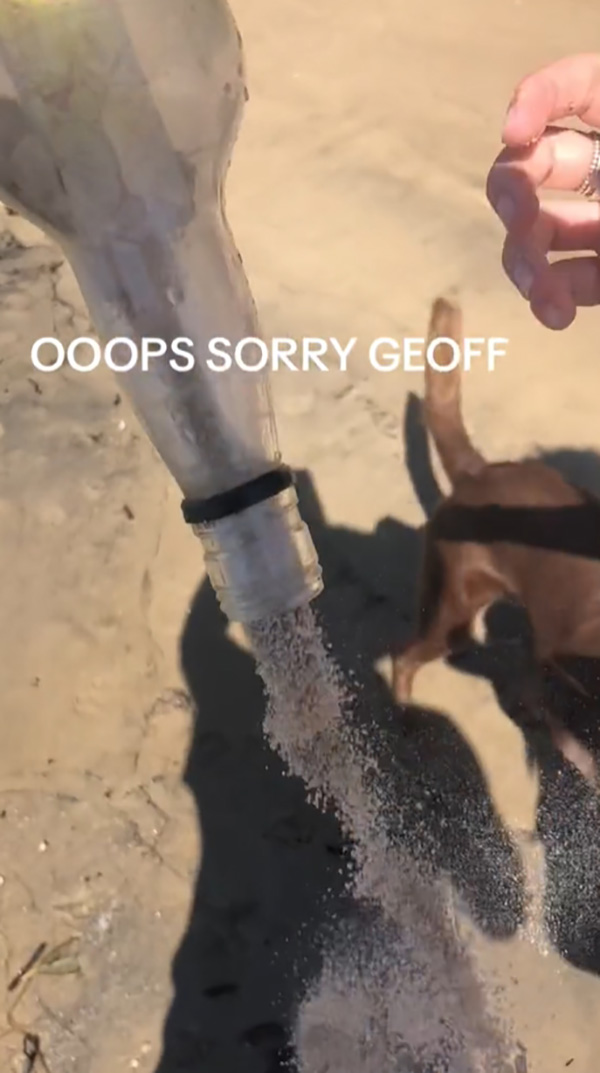 ขวดปริศนา