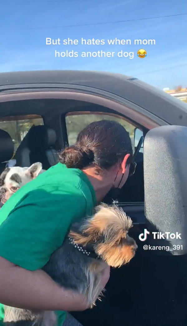 หมาล็อกรถเข้าไม่ได้ ทำยังไงก็ไม่เปิด 