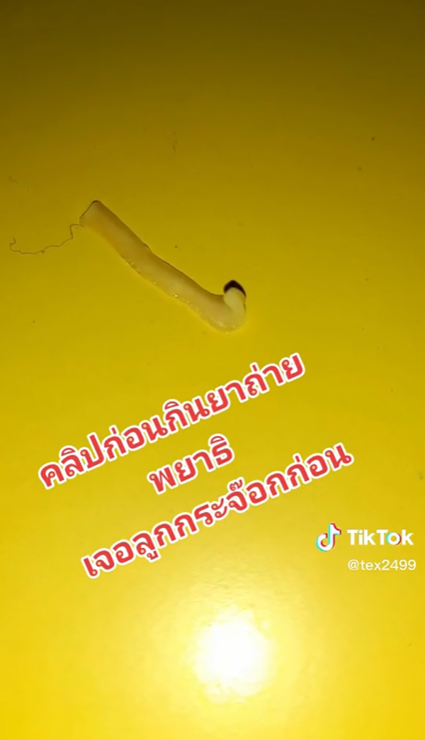 เตือนสายกินดิบ สาวกซอยจุ๊ 