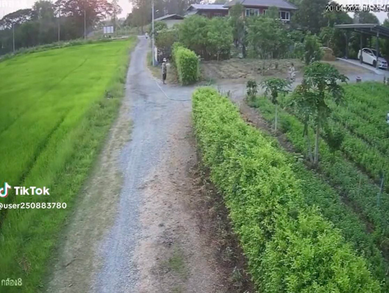 หลานซิ่งจักรยาน เบรกแตกลงคันนาเปียกทั้งตัว 