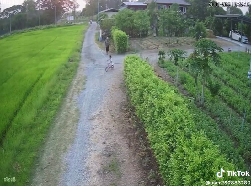 หลานซิ่งจักรยาน เบรกแตกลงคันนาเปียกทั้งตัว 