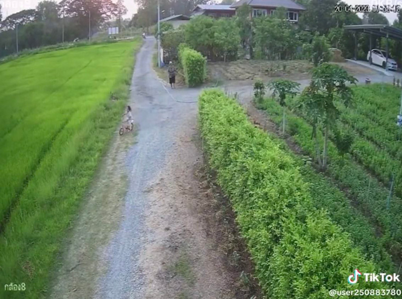 หลานซิ่งจักรยาน เบรกแตกลงคันนาเปียกทั้งตัว 