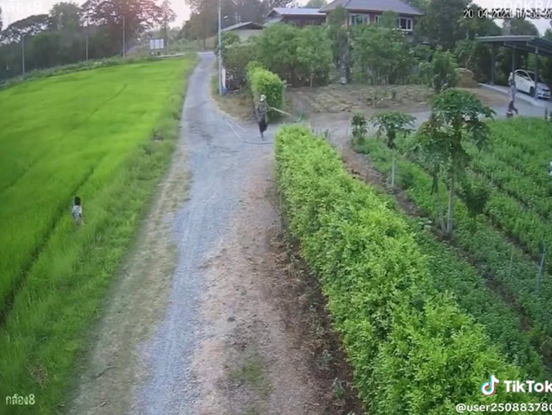 หลานซิ่งจักรยาน เบรกแตกลงคันนาเปียกทั้งตัว 