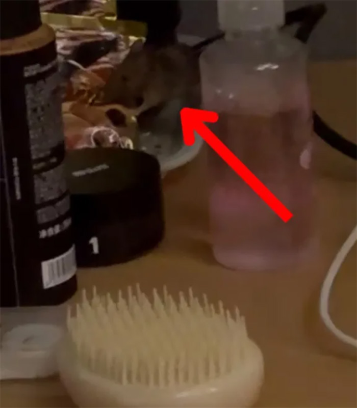 สาวรีวิวโรงแรม 3 คืน