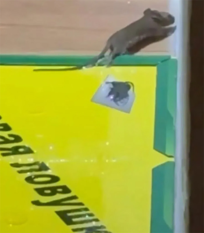 สาวรีวิวโรงแรม 3 คืน