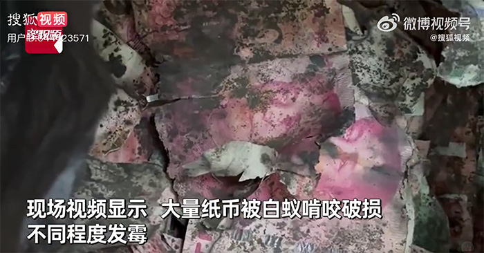 ครอบครัวเจอขุมทรัพย์คุณปู่