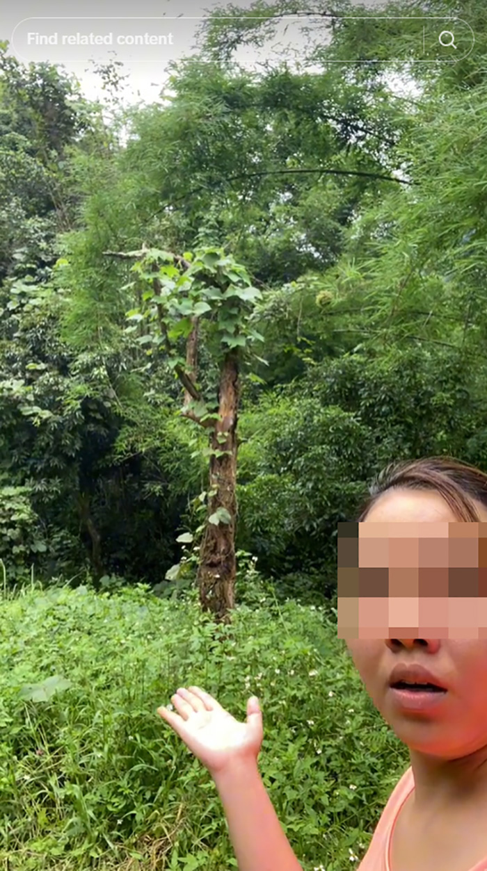 ขนุนตายพราย 