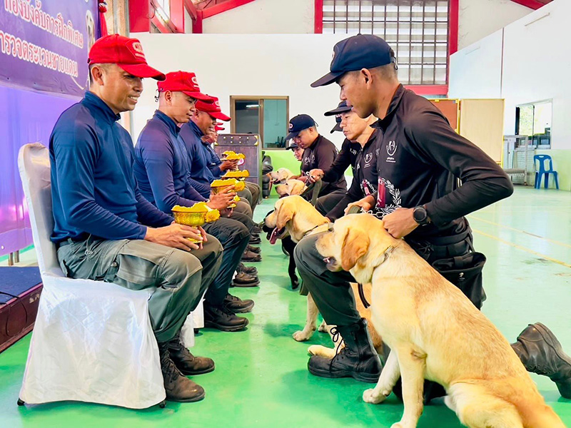 สุนัขตำรวจมอบพานไหว้ครูให้ครูฝึก