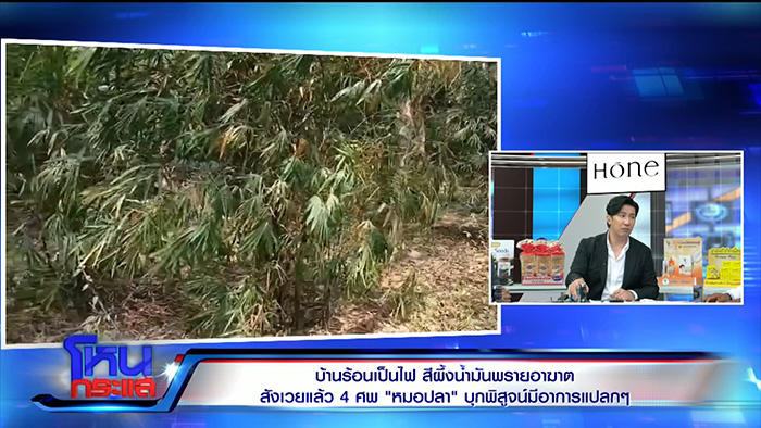 โหนกระแส