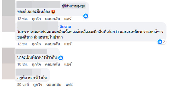 คอมเมนต์