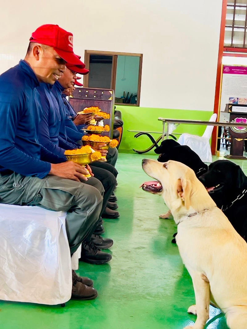 สุนัขตำรวจมอบพานไหว้ครูให้ครูฝึก