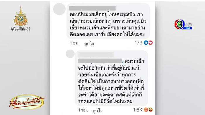 อินฟลูฯ คนนี้ ช่วยหมาโดนราดน้ำร้อน