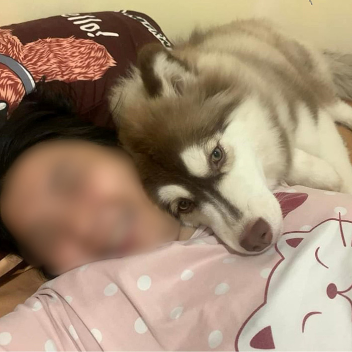 อินฟลูฯ คนนี้ ช่วยหมาโดนราดน้ำร้อน