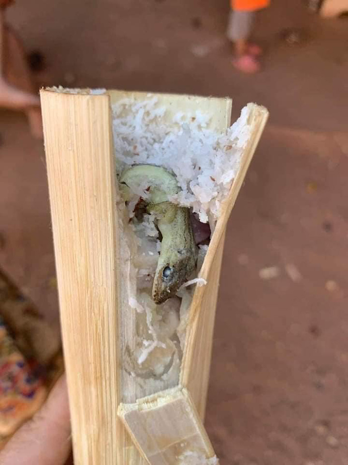 จิ้งจกตายในข้าวหลาม