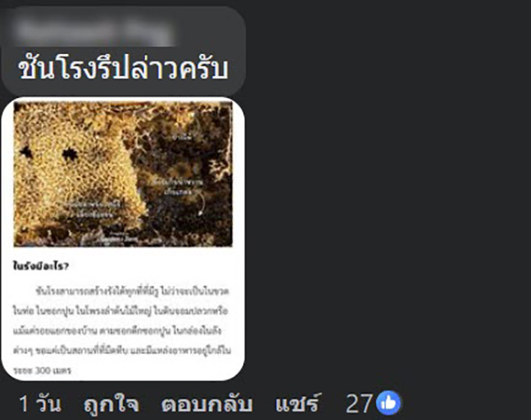 คอมเมนต์