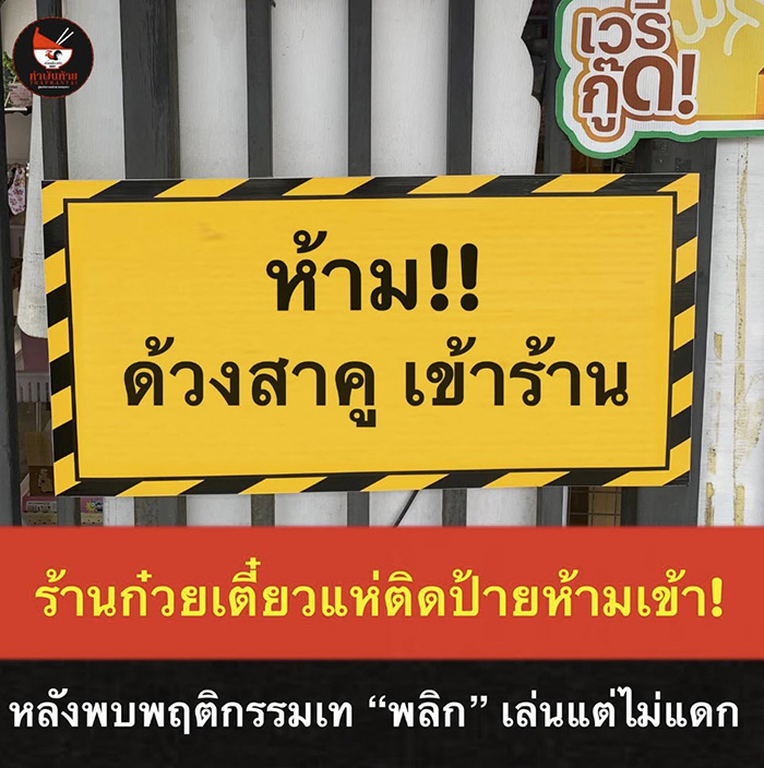 ร้านก๋วยเตี๋ยวแห่ติดป้าย ห้ามด้วงสาคูเข้าร้าน