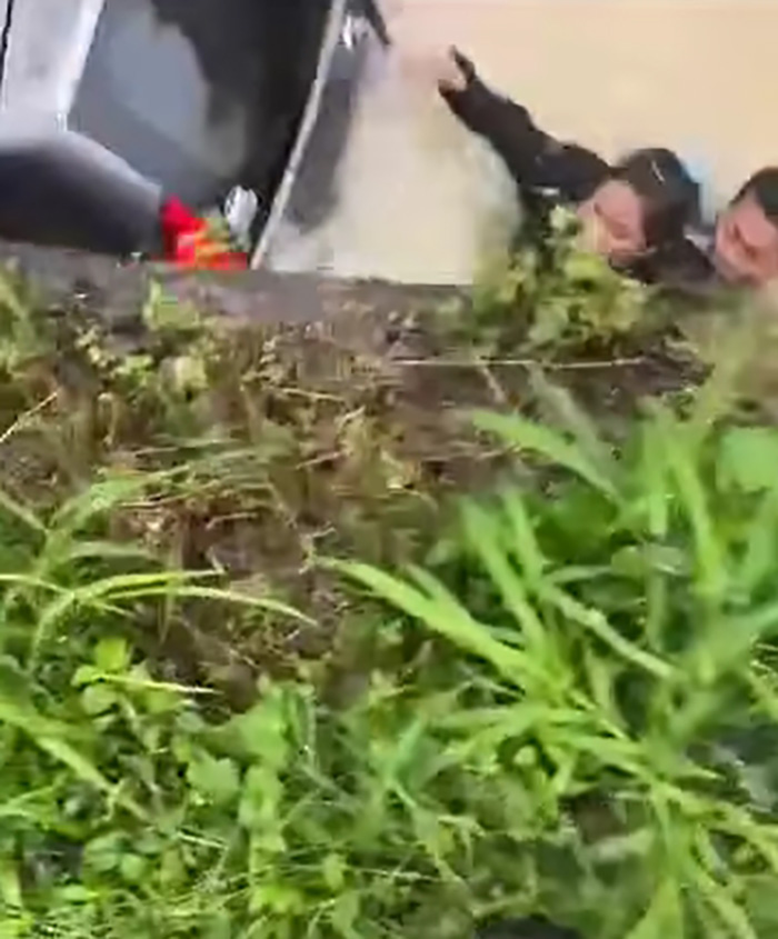 ชายกระโดดช่วยผู้หญิง