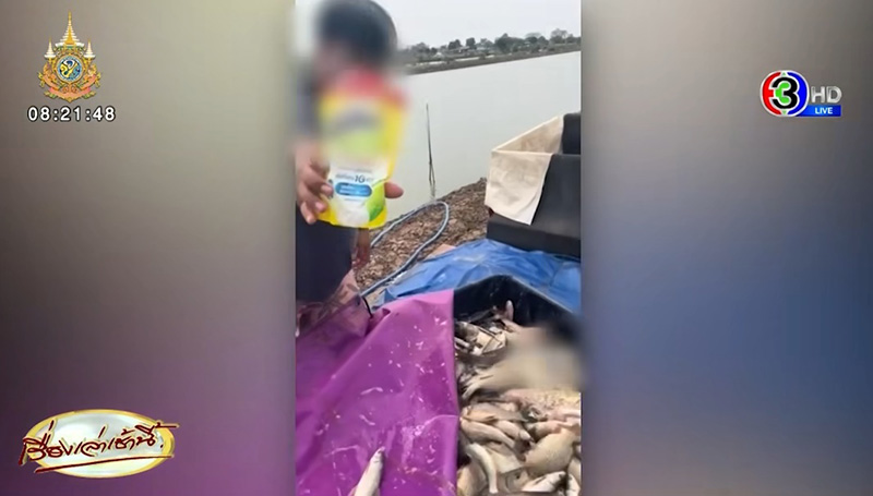 น้ำยาล้างจานราดใส่ปลาเป็น