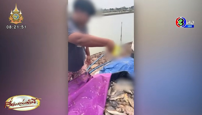 น้ำยาล้างจานราดใส่ปลาเป็น