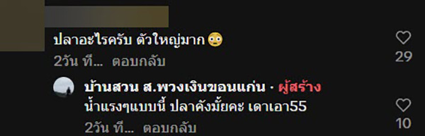 คอมเมนต์