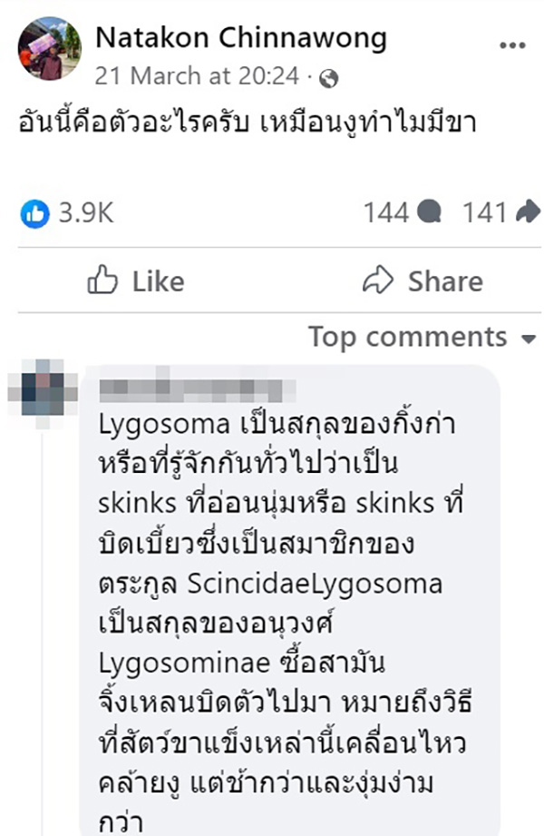 คอมเมนต์