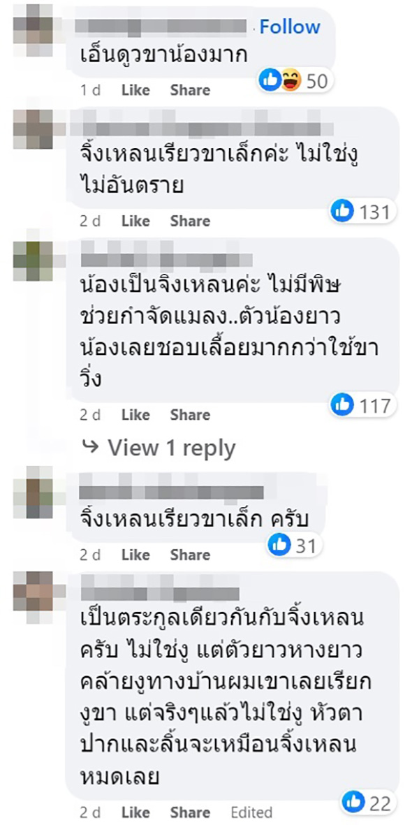คอมเมนต์