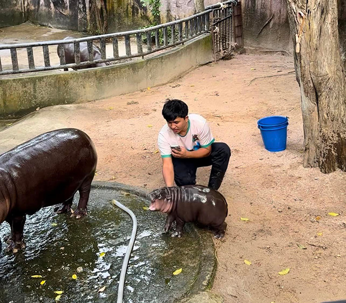 เปิดเรื่องราว เบนซ์ คนดูแล หมูเด้ง