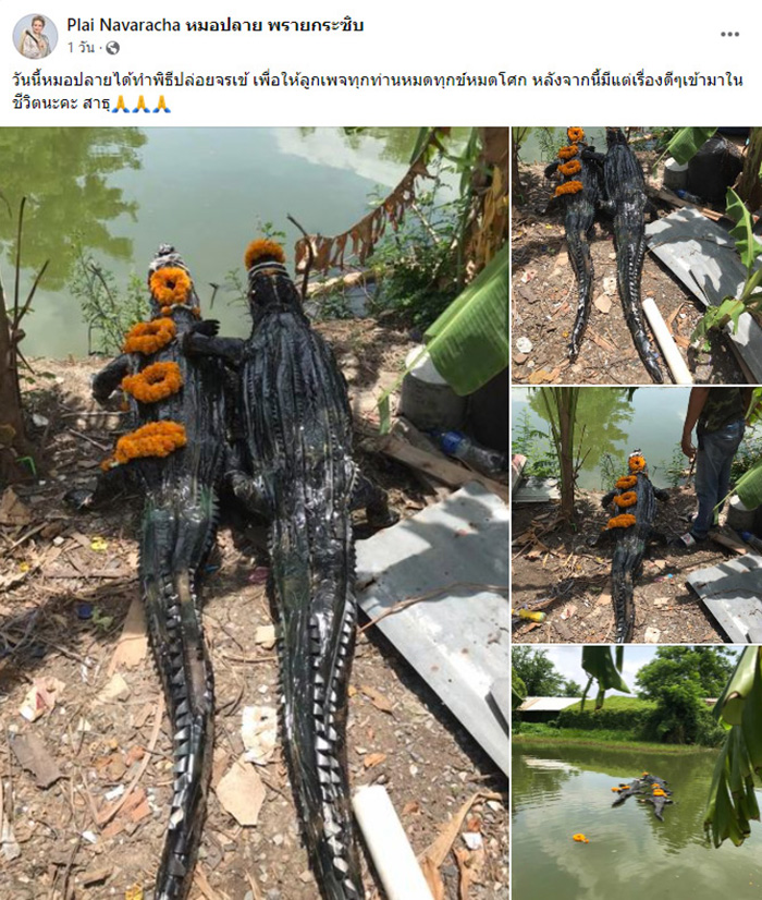 หมอปลาย ขอโทษดราม่าปล่อยจระเข้ 