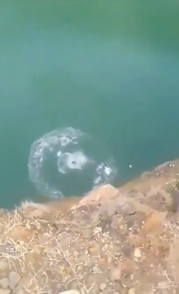 หนุ่ม 18 อัดคลิปกระโดดทะเลสาบ