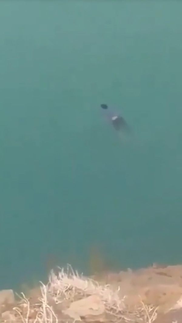 หนุ่ม 18 อัดคลิปกระโดดทะเลสาบ