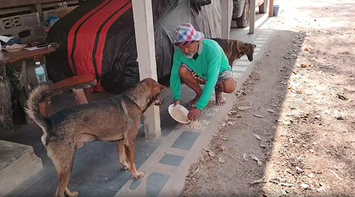 ไขปริศนา ข้าวเก่า 5 ปียังกินได้ไหม