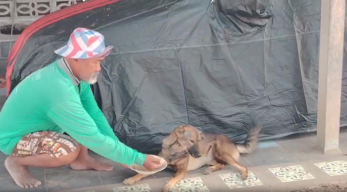 ไขปริศนา ข้าวเก่า 5 ปียังกินได้ไหม