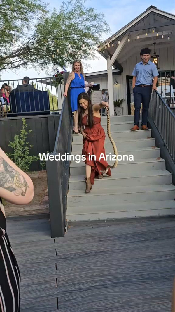 แขกไม่ได้รับเชิญป่วนวิวาห์