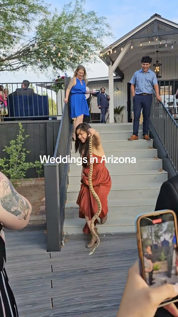 แขกไม่ได้รับเชิญป่วนวิวาห์