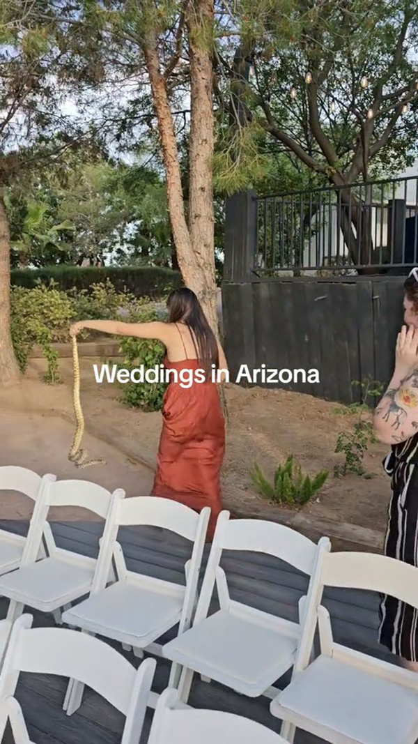 แขกไม่ได้รับเชิญป่วนวิวาห์