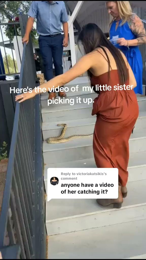 แขกไม่ได้รับเชิญป่วนวิวาห์