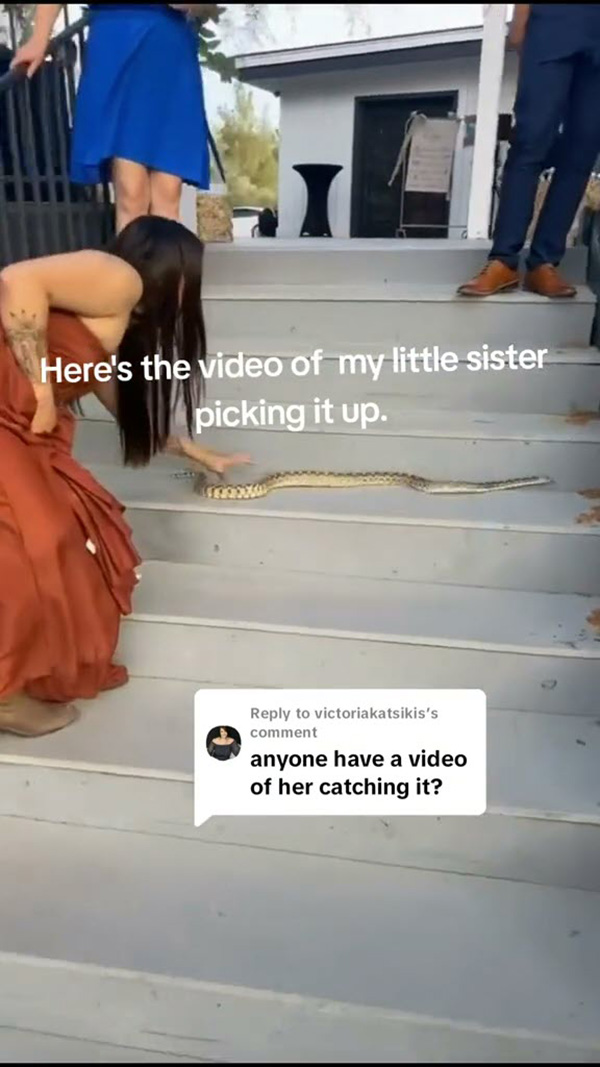 แขกไม่ได้รับเชิญป่วนวิวาห์