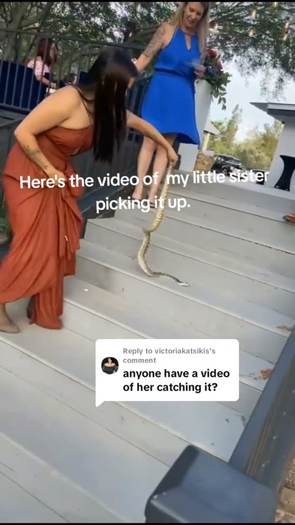 แขกไม่ได้รับเชิญป่วนวิวาห์