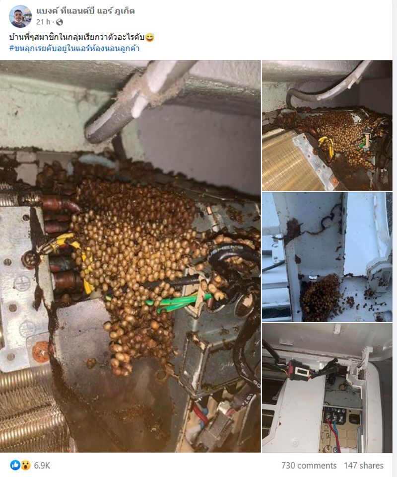 สิ่งมีชีวิตชวนขนลุก