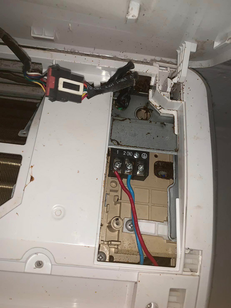 สิ่งมีชีวิตชวนขนลุก