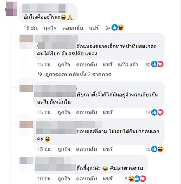คอมเมนต์