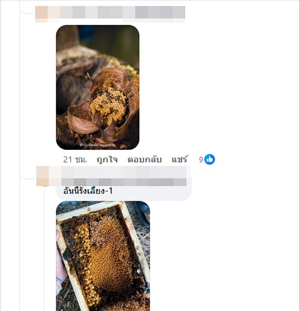 คอมเมนต์