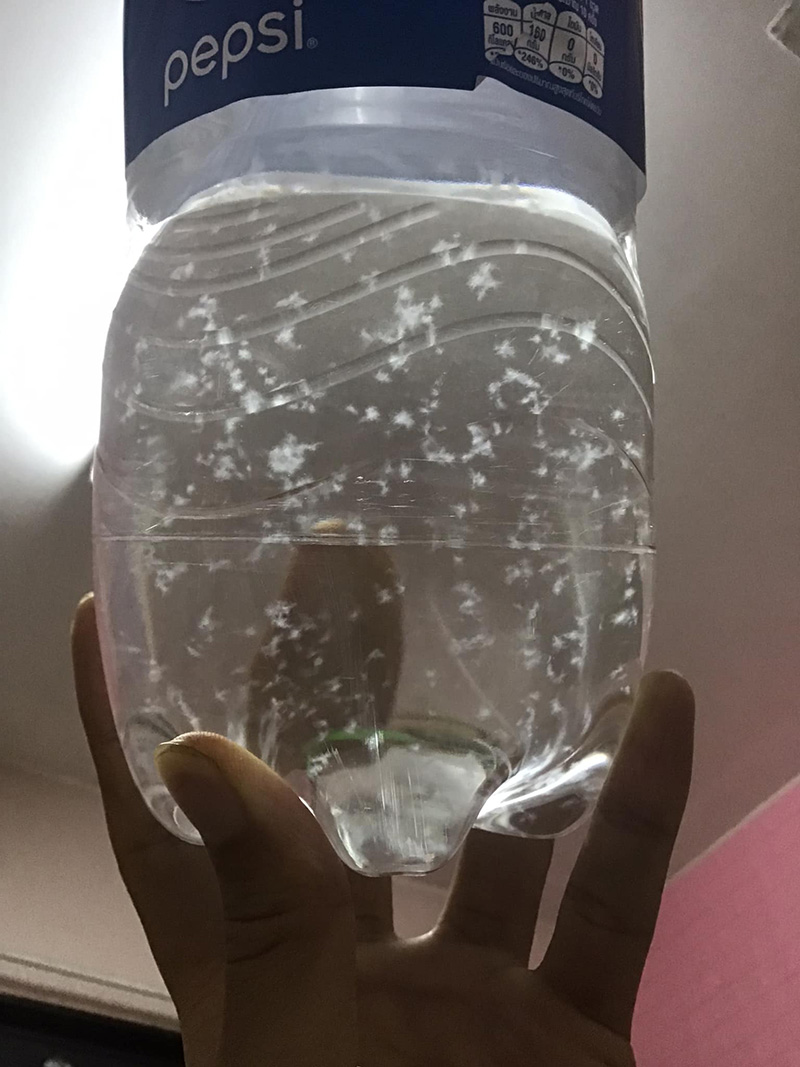 สิ่งแปลกปลอม