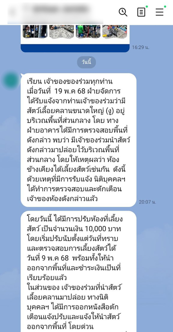 เอางูยักษ์มาปล่อย