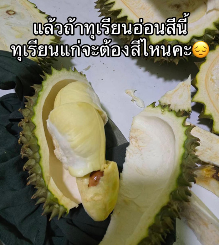 ปัญหาโลกแตกของแม่ค้าขายทุเรียนที่อยากเล่า