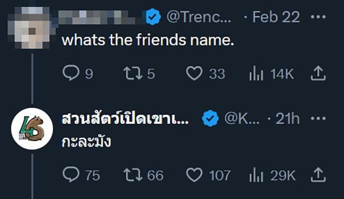 หมูเด้งเล่นกับเพื่อนซี้ 