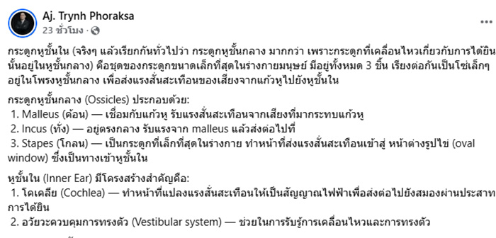 ดร ตฤณห์ MVP โหนกระแส ตำนานไม่หยาบ